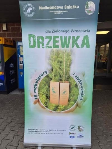 Udział w akcji „Drzewko za makulaturę i elektrośmieci dla Zielonego Wrocławia”